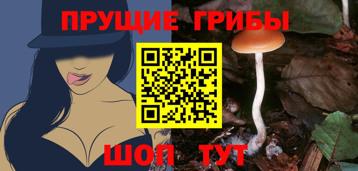 Псилоцибиновые грибы GOLDEN TEACHER  Галлюциногенные грибы MAGIC MUSHROOMS  Нальчик  Вход с VPN 