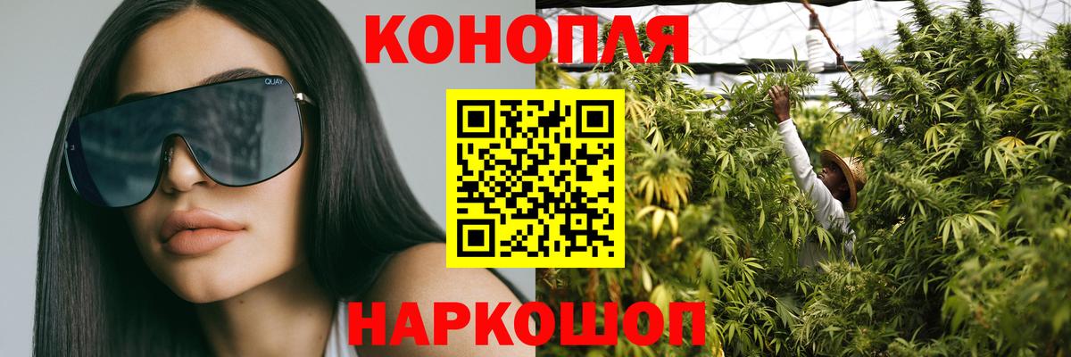 Бошки марихуана сатива Нальчик